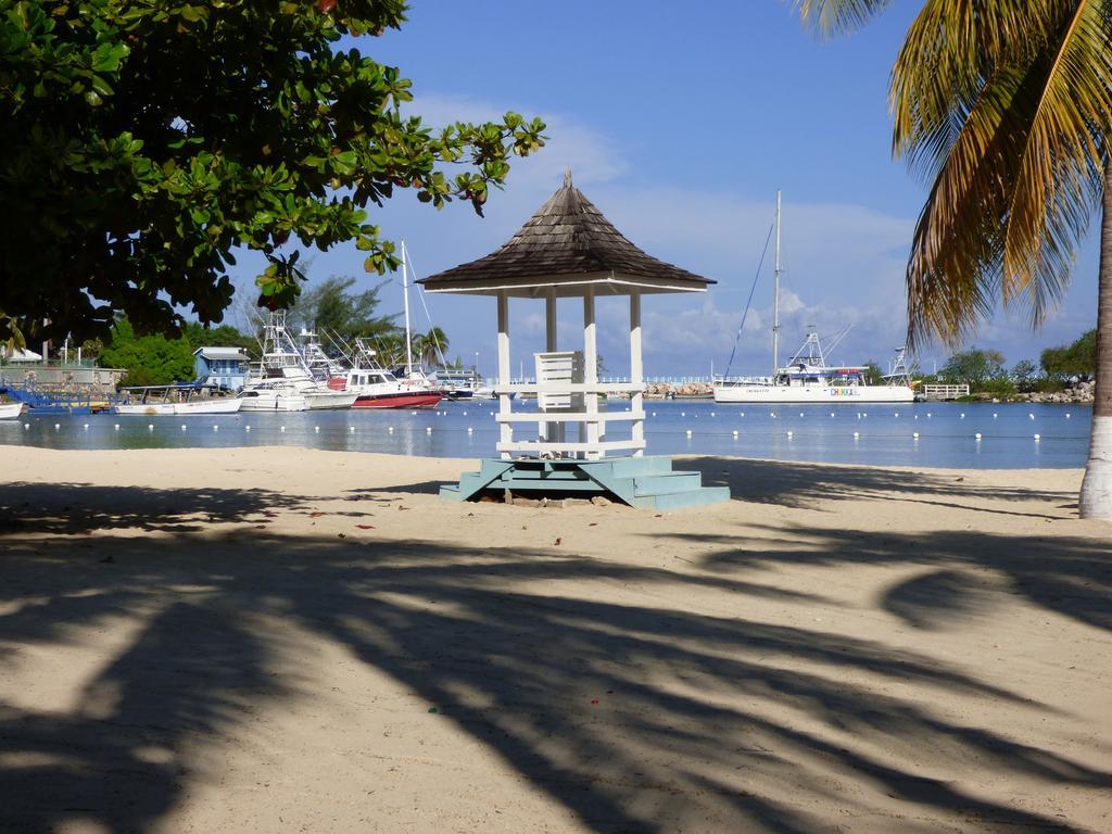 Beach Studio 10 Ocho Rios Oda fotoğraf